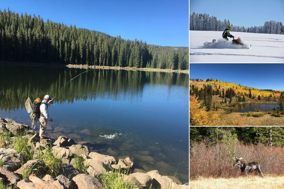 Colorado is Home to the World's Largest Flat Top Mountain