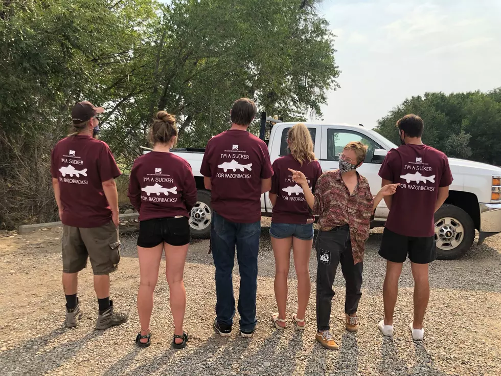 Palisade High School’s Endangered Fish Hatchery Is Up and Running