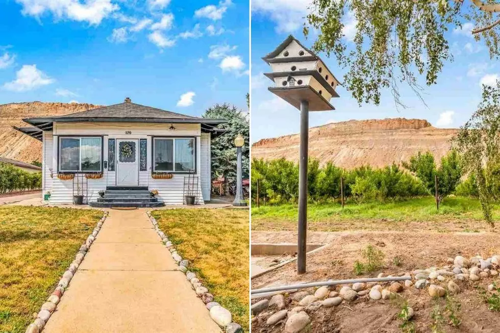 This is the Cheapest House For Sale in Palisade