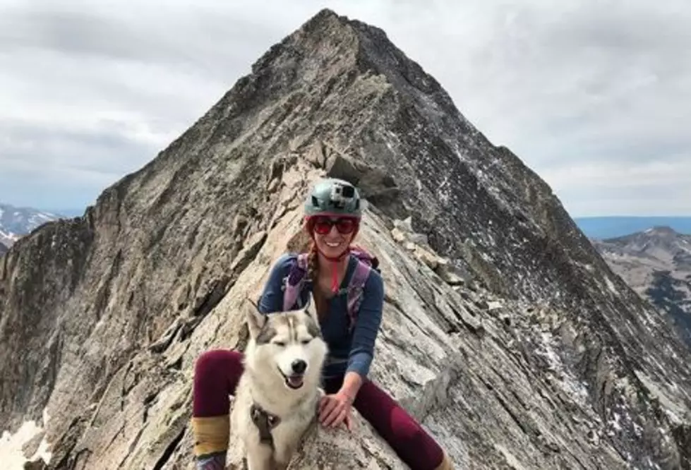 Ellie + Loki: Colorado Dog Summits Every 14er in Colorado