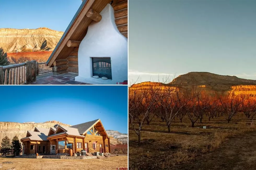 Look: Log Cabin on 7-Acre Peach Orchard For Sale in Palisade