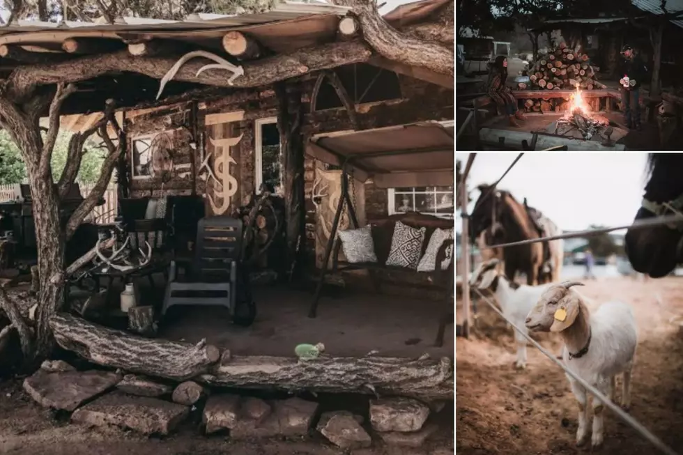 Airbnb: Rustic Cabin in Glade Park Has Horses + Fireplace
