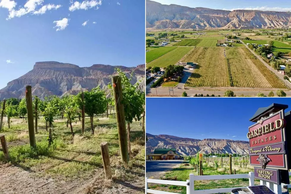 Palisade Home on 13 Acres is a Wine Lover’s Dream Come True
