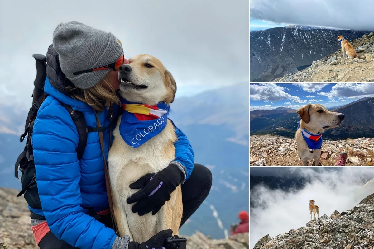 Colorado Dog Hikes His Second 14er + The Pictures Are Amazing
