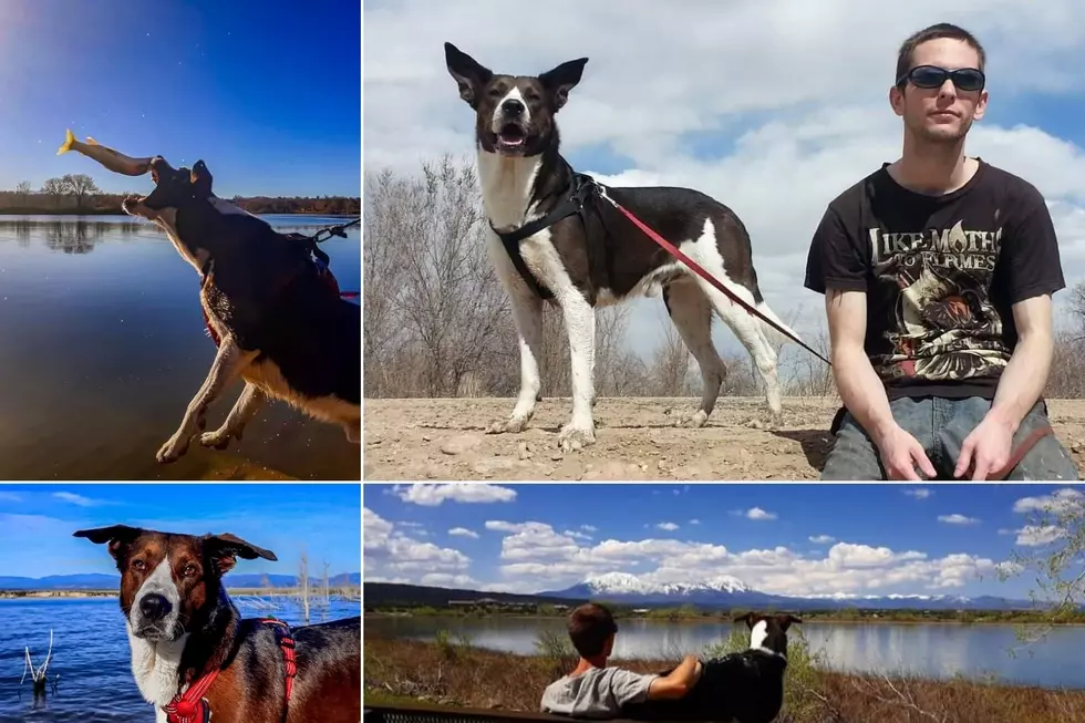 Colorado Dog Loves Fishing Just As Much As His Owner