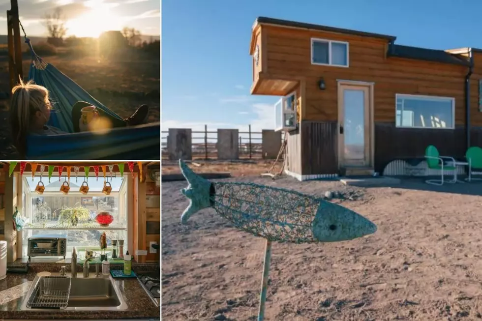 Tiny House Airbnb Is Less Than An Hour Away From Grand Junction