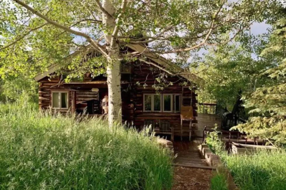 Rustic Aspen Cabin Airbnb Only Two Hours Away From Grand Junction