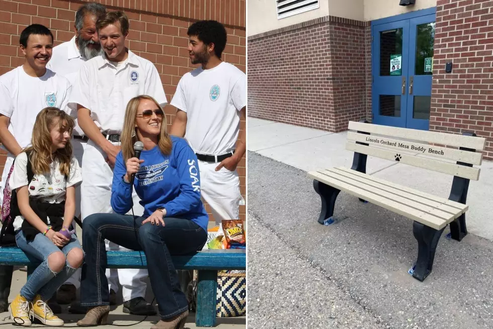 These Three Grand Junction Schools Have Installed Buddy Benches