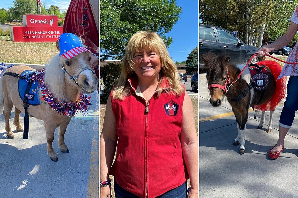 Ridgway's Manette Steele Makes People Smile With Her Mini Horses