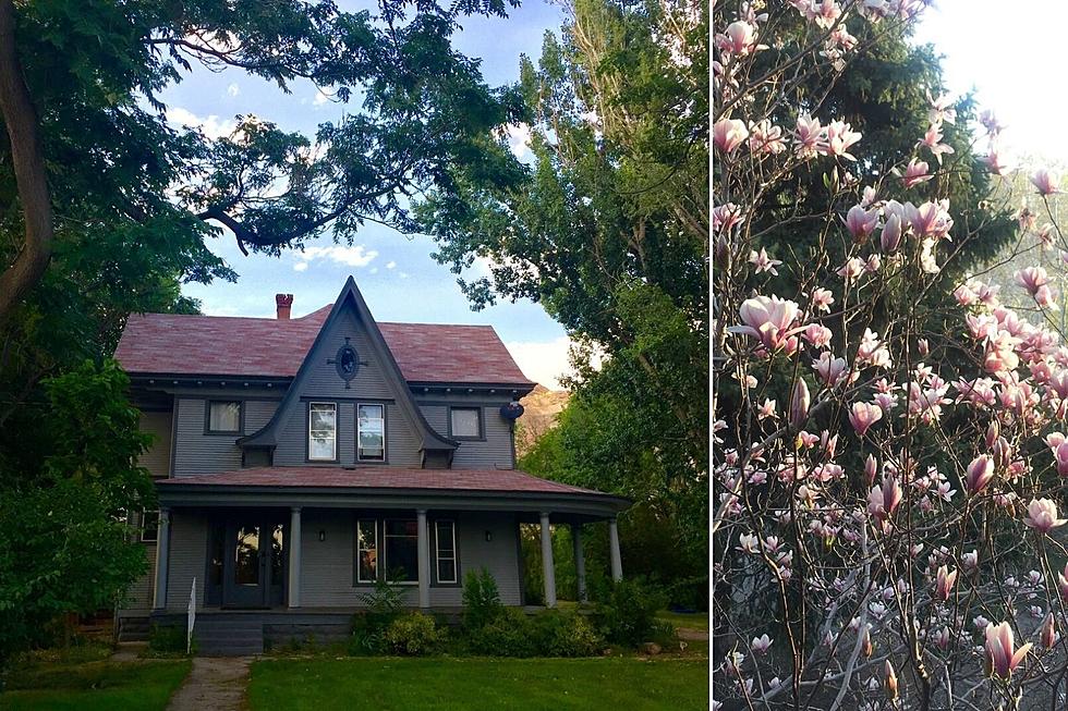 Victorian House in Palisade is Surrounded By Wineries + Magnolias