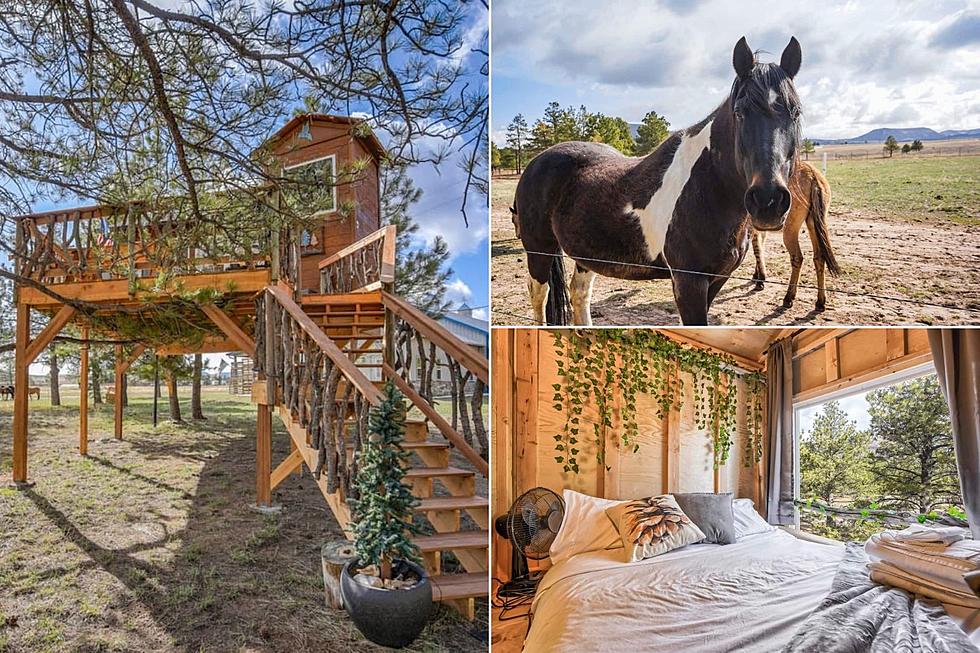 Spend the Night in a Whimsical Treehouse on a Colorado Ranch