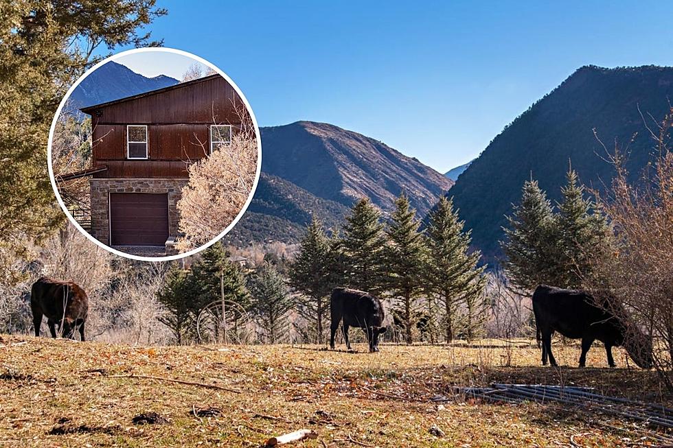 Working Ranch Since WWII: Stay on This Serene Ranch in Glenwood