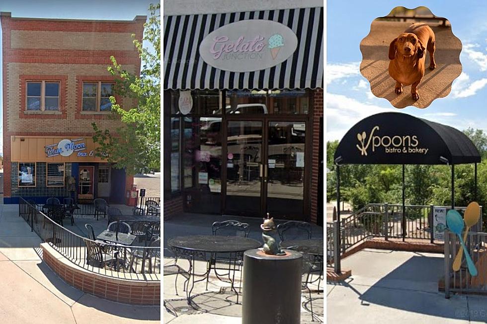 The Most Popular and Pet-Friendly Places to Dine in Grand Junction, Colorado