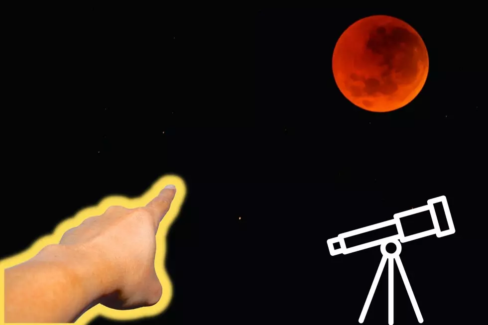 Super Flower Blood Moon to be Seen in Colorado