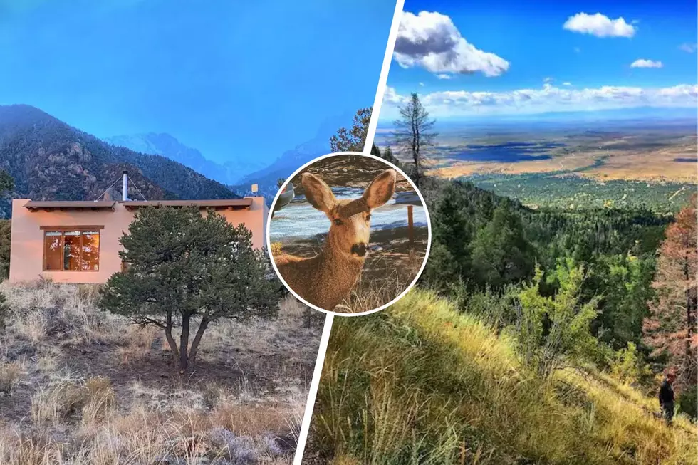 Dreamy Solar Adobe Airbnb in Colorado Perfect Place to Stargaze