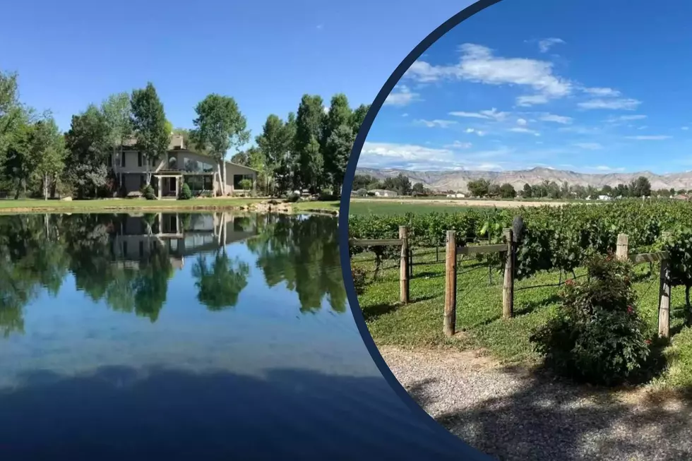 $1.8 Million GJ Home With Pond + Vineyard for Sale