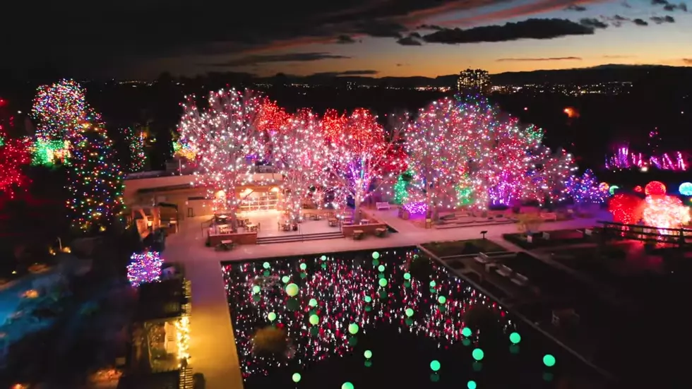 Annual Blossoms of Light Event Returns to Denver Botanic Gardens
