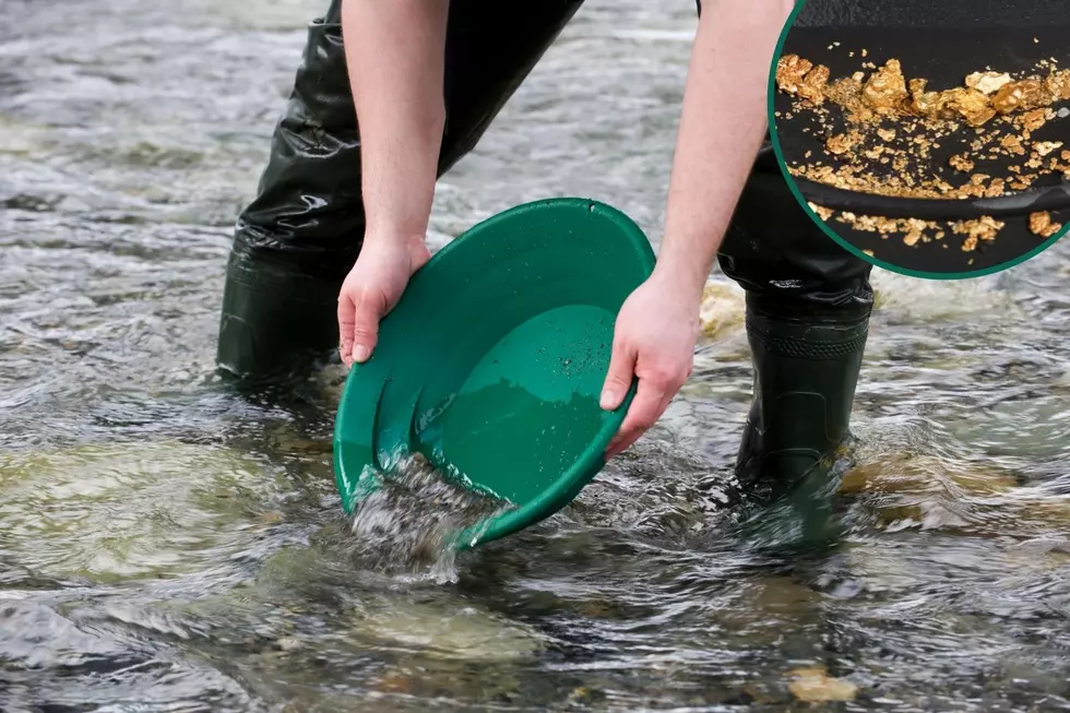 Is it Legal to Pan For Gold In Colorado?