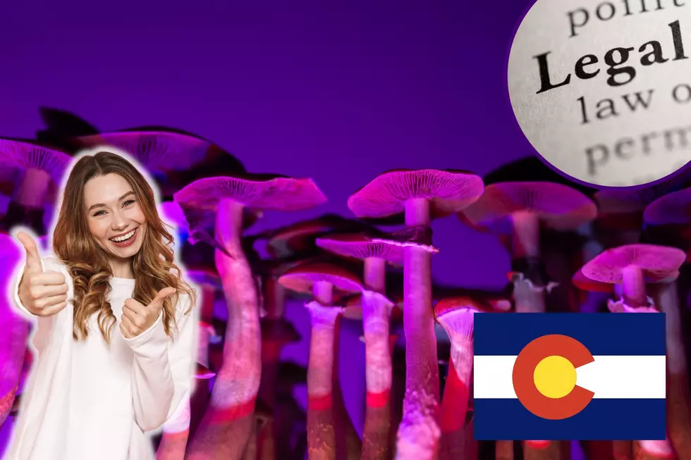 Mushroom Power: Psychedelics Get Vote of Approval in Colorado