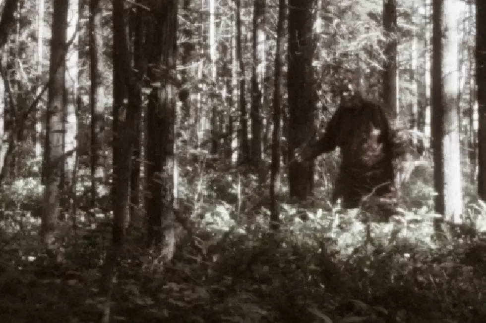 Bigfoot Spotted in Colorado Mountains [VIDEO]