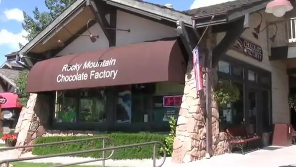 Meet the Bear with a Sweet Tooth That Broke Into an Estes Park Candy Store [VIDEO]