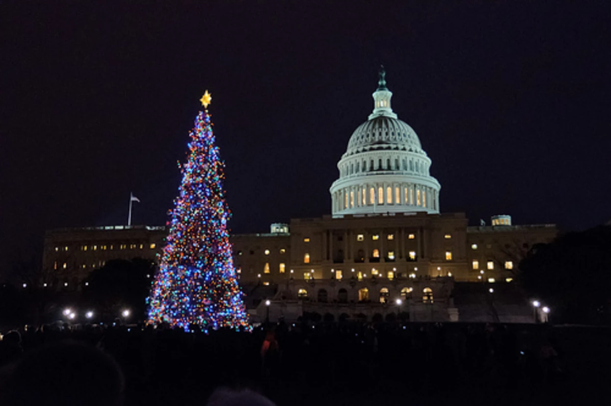 US Capitol Christmas Tree Coming From Colorado