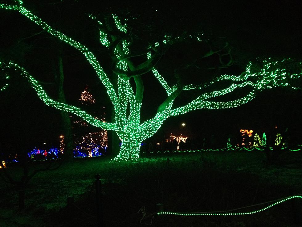 Where to See Christmas Lights Around Fort Collins