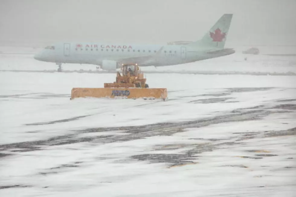 DIA Flights Cancelled