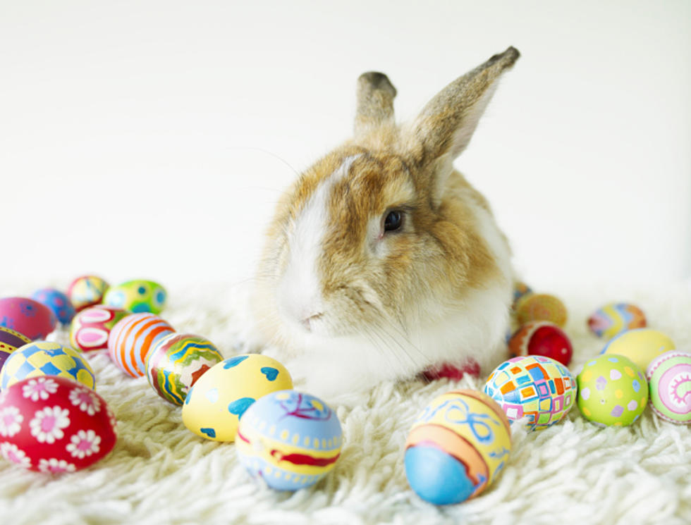 Easter Bunny at Pour Brothers Community Tavern