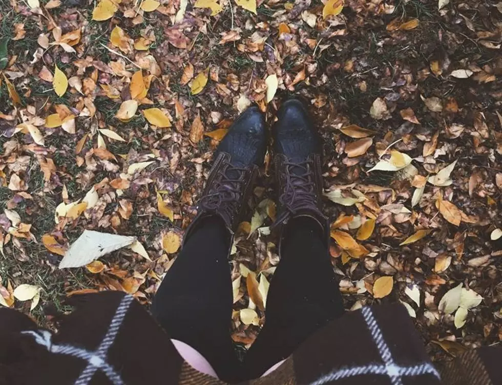 Five Instagram-Worthy Ways to Spend Your Fall Day Off in Fort Collins