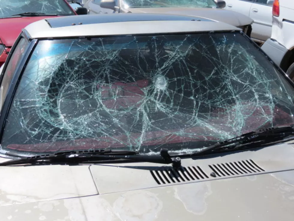 Fort Collins Police Investigating Vandalism Spree