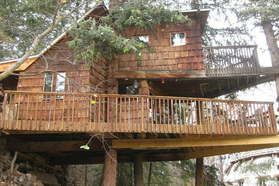 Experience a Rustic Retreat at Colorado’s Rocky Mountain Treehouse