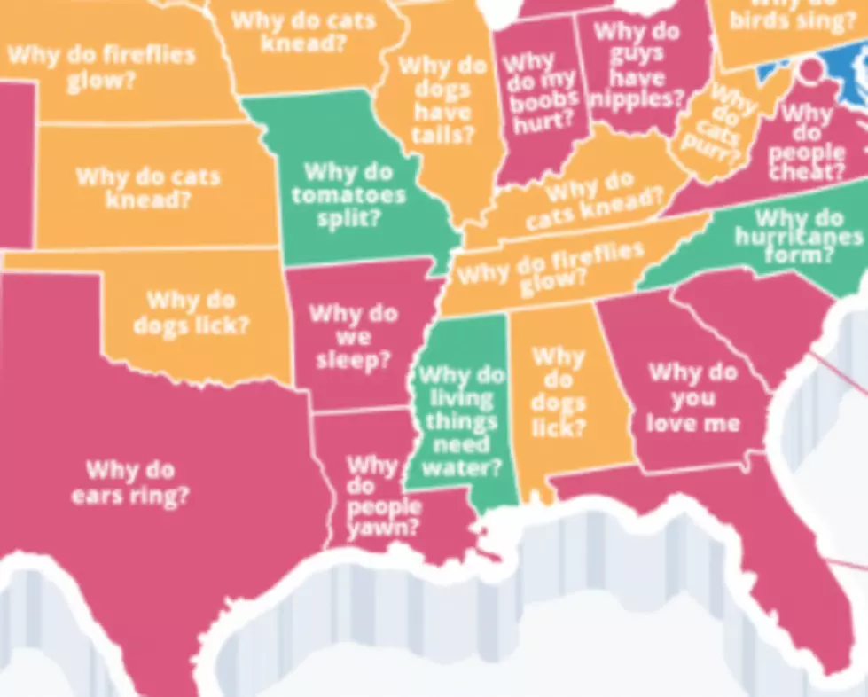 Colorado’s Most Googled “Why Do…?” Question is… Interesting.