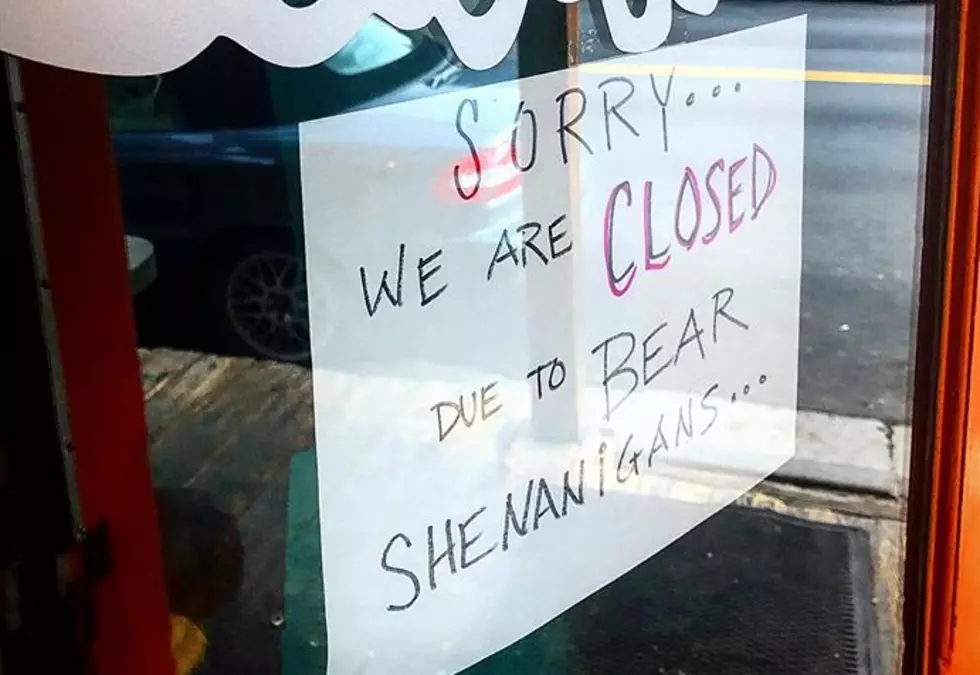 Colorado Cafe Hit by &#8216;Bearnado&#8217; Over the Weekend