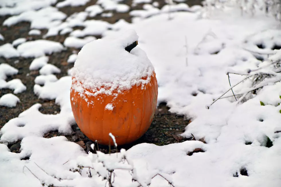 Warm or Snow? Here&#8217;s Your Northern Colorado Halloween Forecast