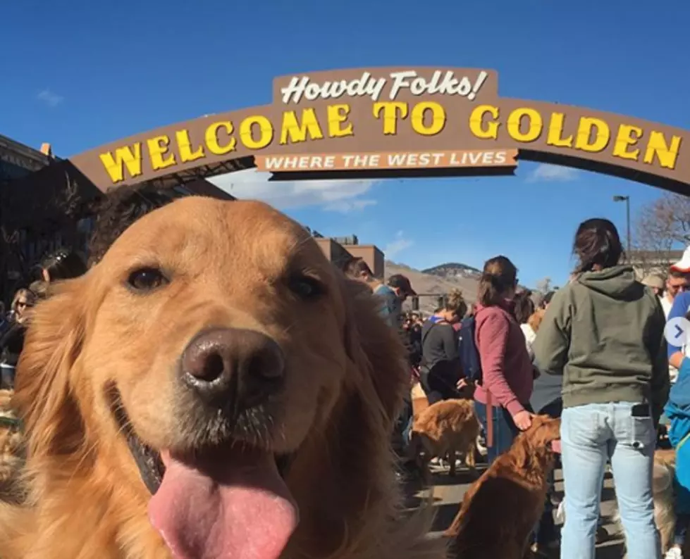 Here&#8217;s Why Hundreds of Golden Retrievers Were in Golden This Week