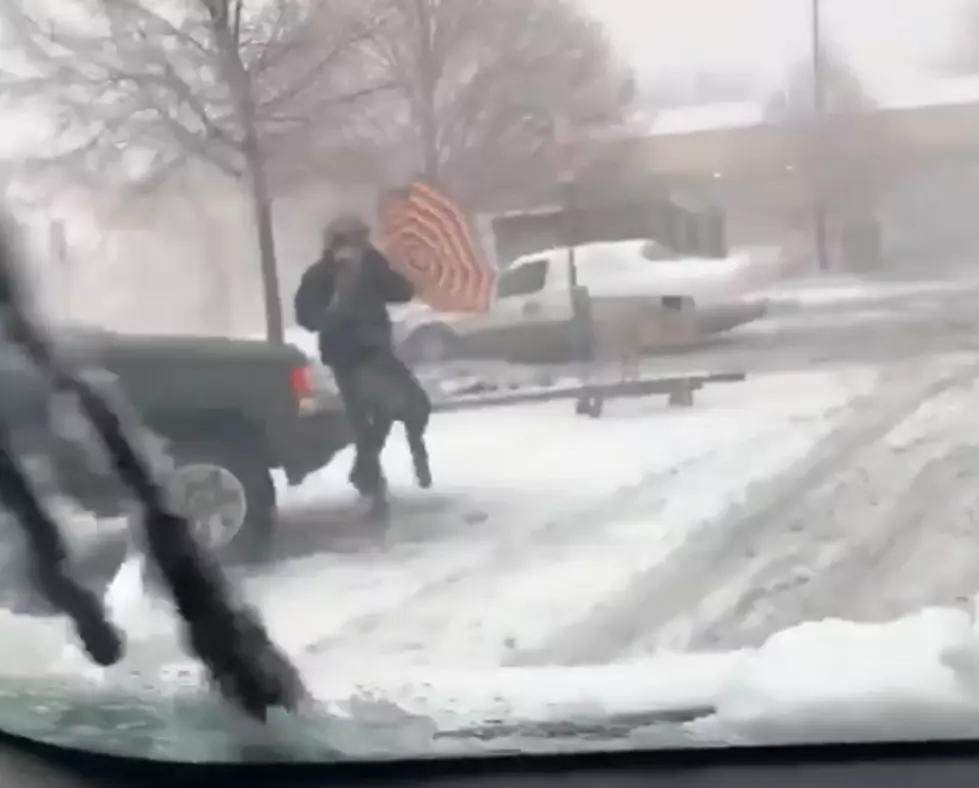 10 Videos That Show Bomb Cyclone Obliterating Colorado