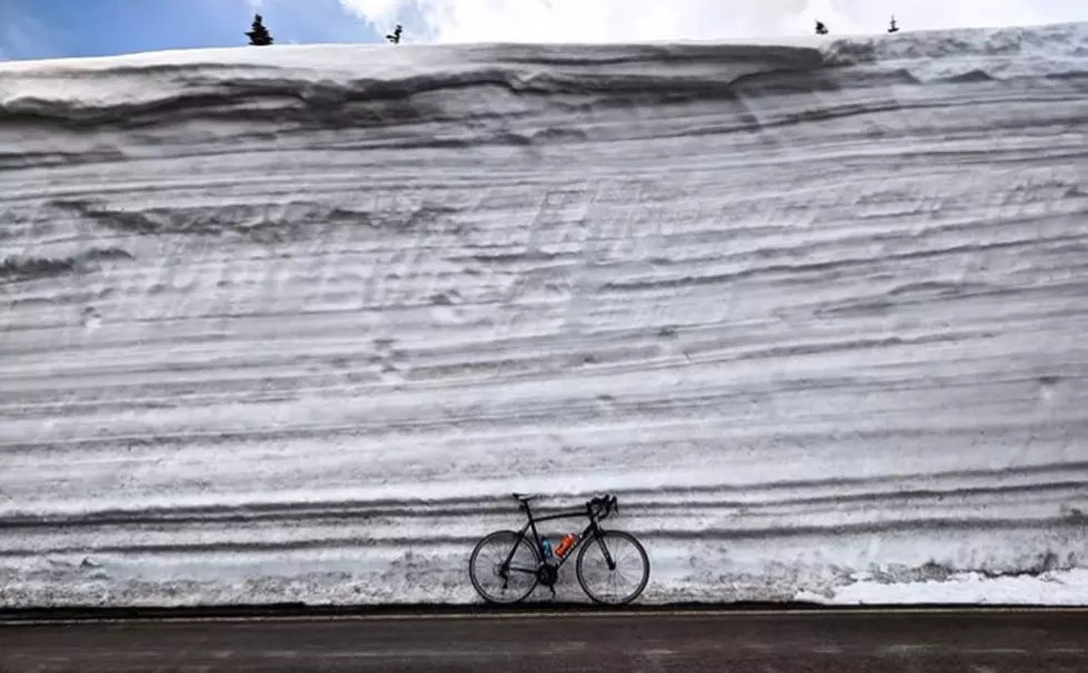 Trail Ridge Road Is Open, and It’s Basically a Big Wall of Snow