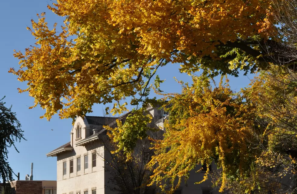 Study Reveals Most-Instagrammed Colleges in Each State, Here&#8217;s Colorado&#8217;s