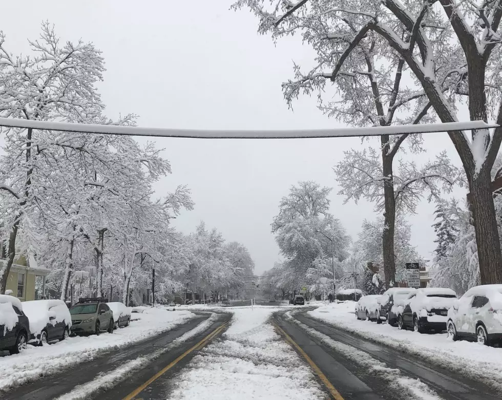 Fort Collins Area Snow Totals From April 16 Storm