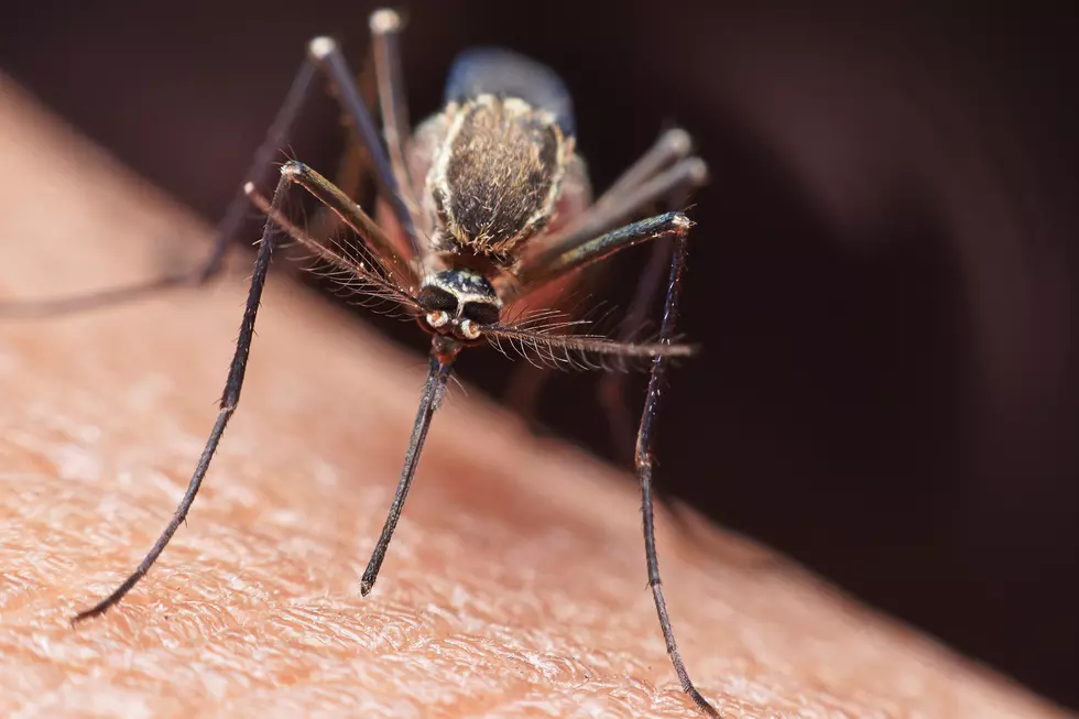 Aerial Larvicide to Be Applied Outside of Laramie