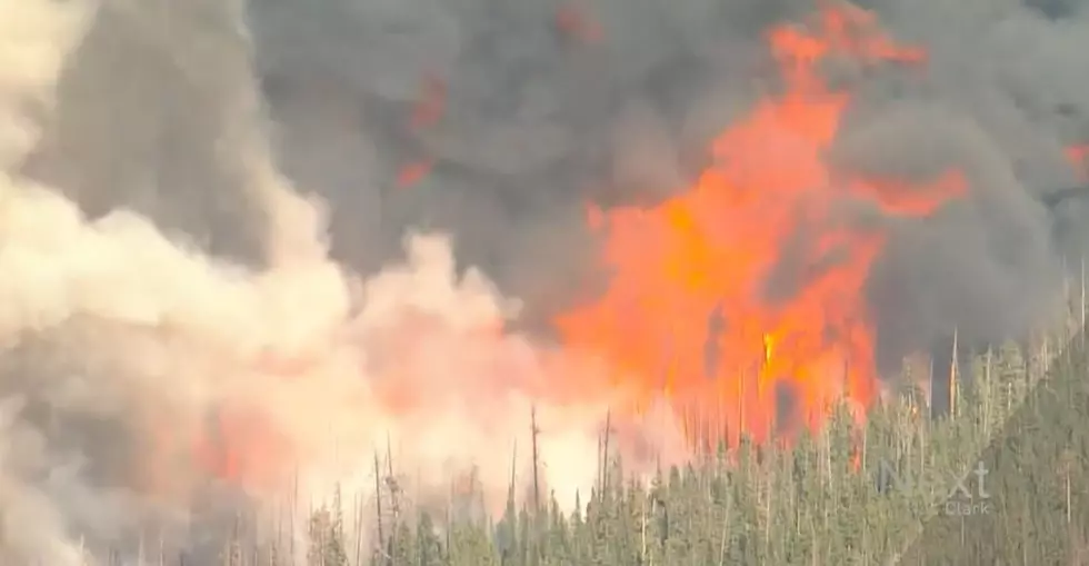 UPDATE: Cameron Peak Fire Has Burned Over 5,000 Acres