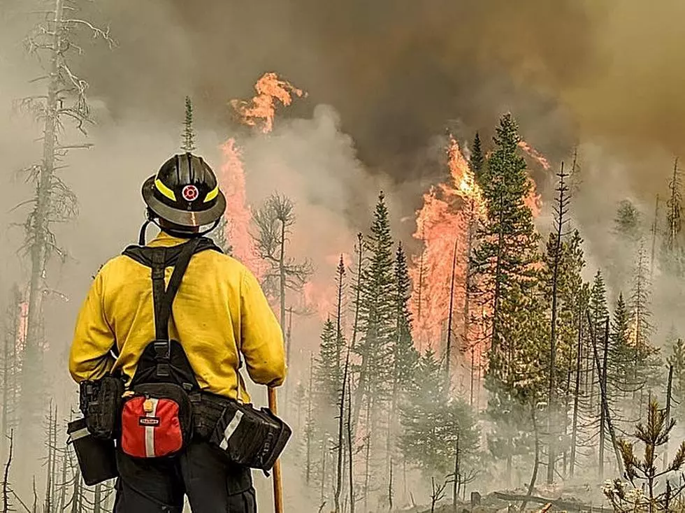 Firefighters From Nearly Every US State Fighting Cameron Peak Fire