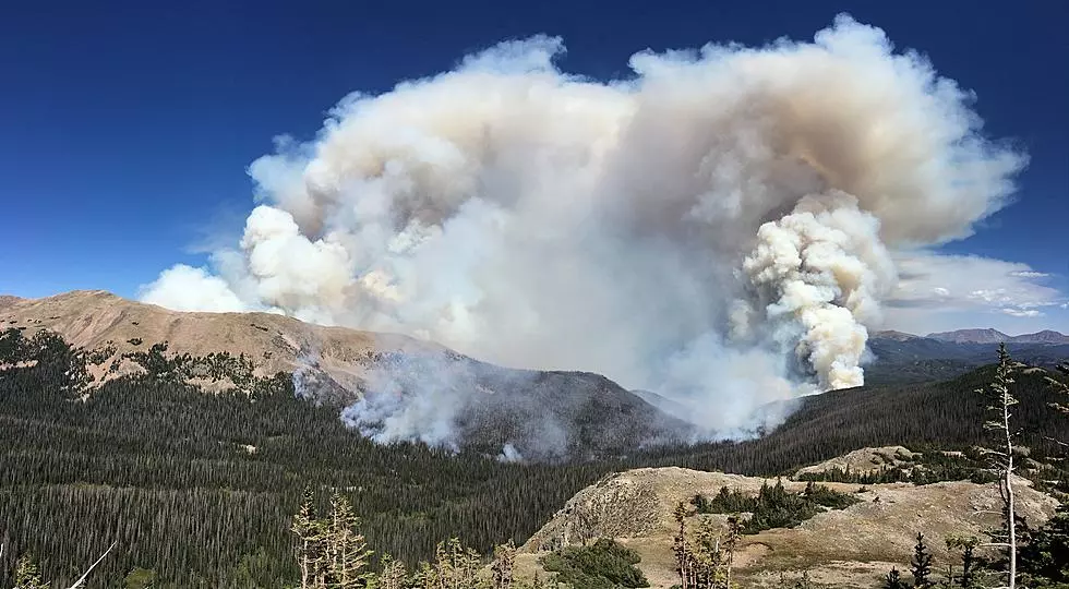 United Way of Larimer County Launches Recovery Group for Fire Survivors