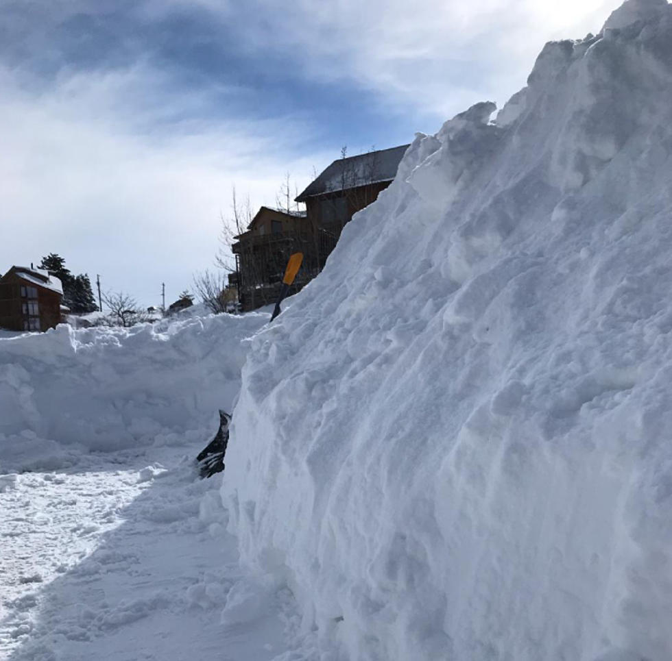 Winter Storm Xylia: Larimer County Had Highest Snow Totals in  Colorado