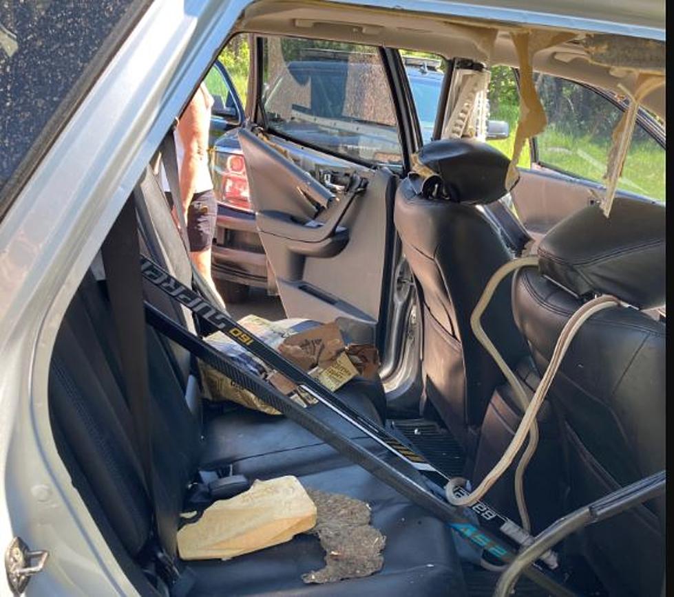 Bear Breaks Into Car for Coors Beer, Locks Itself Inside