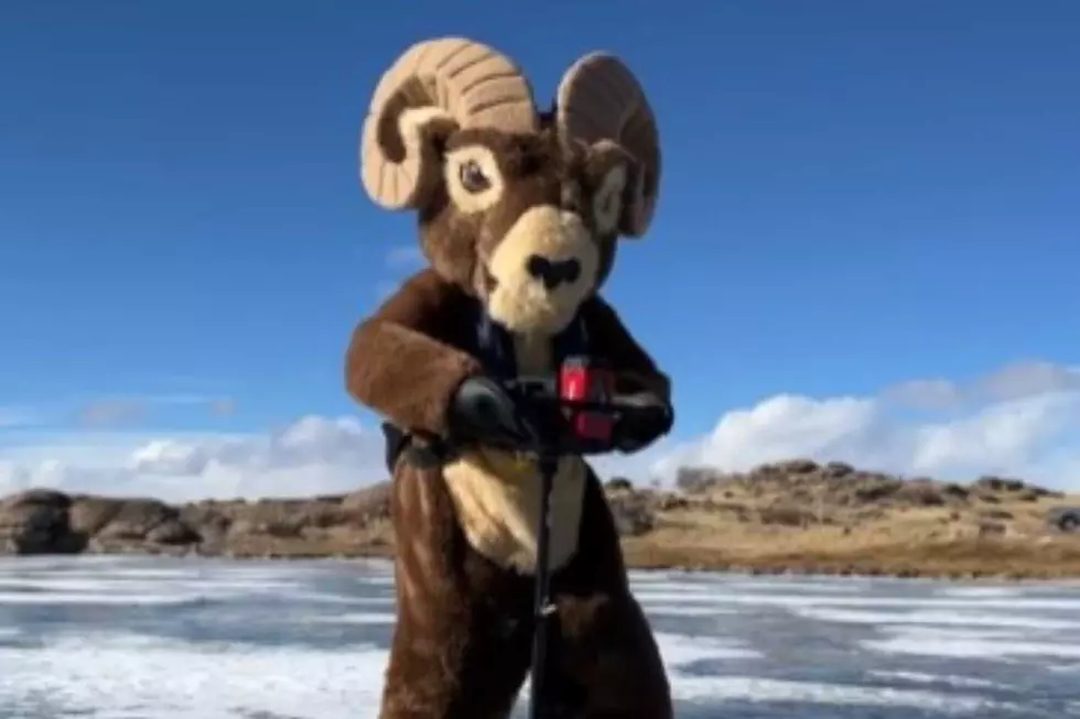 Colorado Parks &#038; Wildlife Has a Mascot &#8211; With the Most Perfect Name