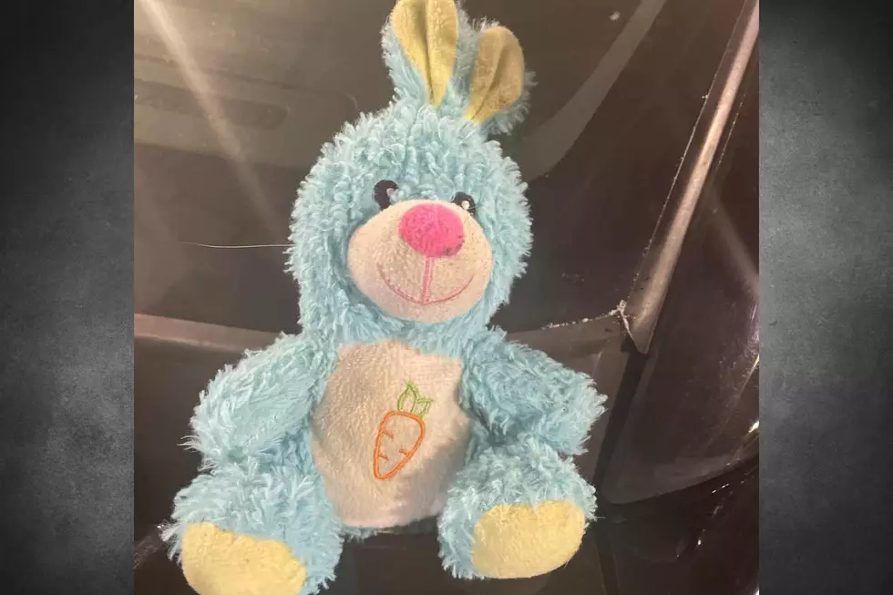 Colorado Police Befriend Lost Stuffed Bunny and Win Internet’s Hearts