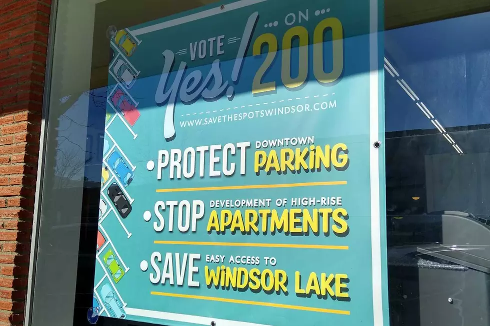 Windsor-Yes-No-200
