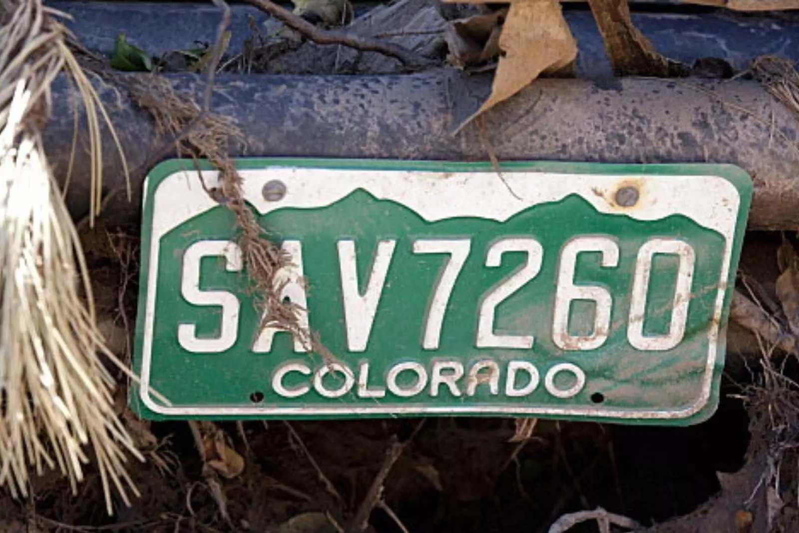 Deciphering Colorado license plates – The Denver Post